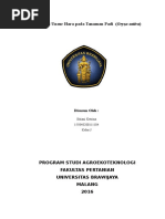 Download Defisiensi Unsur Hara Nitrogen Pada Tanaman Padi by sitiani ketrina SN328870729 doc pdf