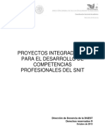 Proyectos Integradores PDF