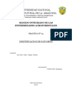 Informe N 4 Manejo Integrado de Enfermedades Agroforestales