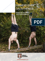 A Beginners Guide To Calisthenics