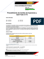 BITM2380 Cambio de Inyectores C175