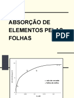 Absorção Pelas Folhas