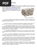 06.1 - Resumo Sobre Rochas