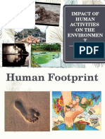 Impact of Human Activities