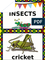 Insects Slides