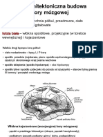 Neurologia