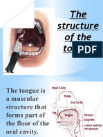 The Structure of the Tongue
