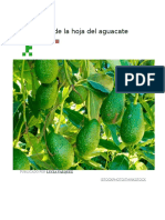 Beneficios de la hoja del aguacate.docx