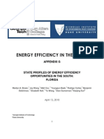 Florida Efficiency in the South