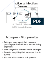 IN204 Disease Lecture1