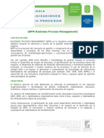 Temario curso BPM.pdf