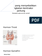 Hormon Yang Mempengaruhi Kontraksi Jantung