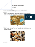 Dokumen - Tips - Petrografi Batuan Beku Klan