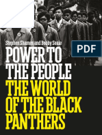 Excerpt From 'Power To The People'