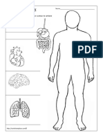Parts of Our Body PDF