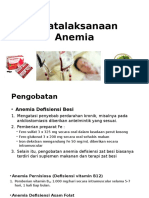 Penatalaksanaan Anemia