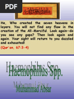 Download haemophilus spp  by ikrambhatti SN3290338 doc pdf