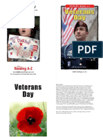 Raz Lu26 Veteransday CLR