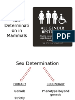 Sex Determination in Mammals