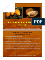 Plagas de Cacao.pdf