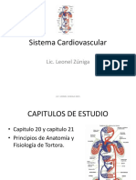 Sistema Cardiovascular