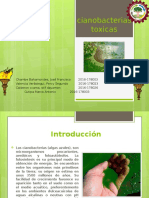 Monografía de Cianobacterias Toxicas