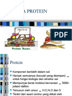 ANALISA PROTEIN.ppsx