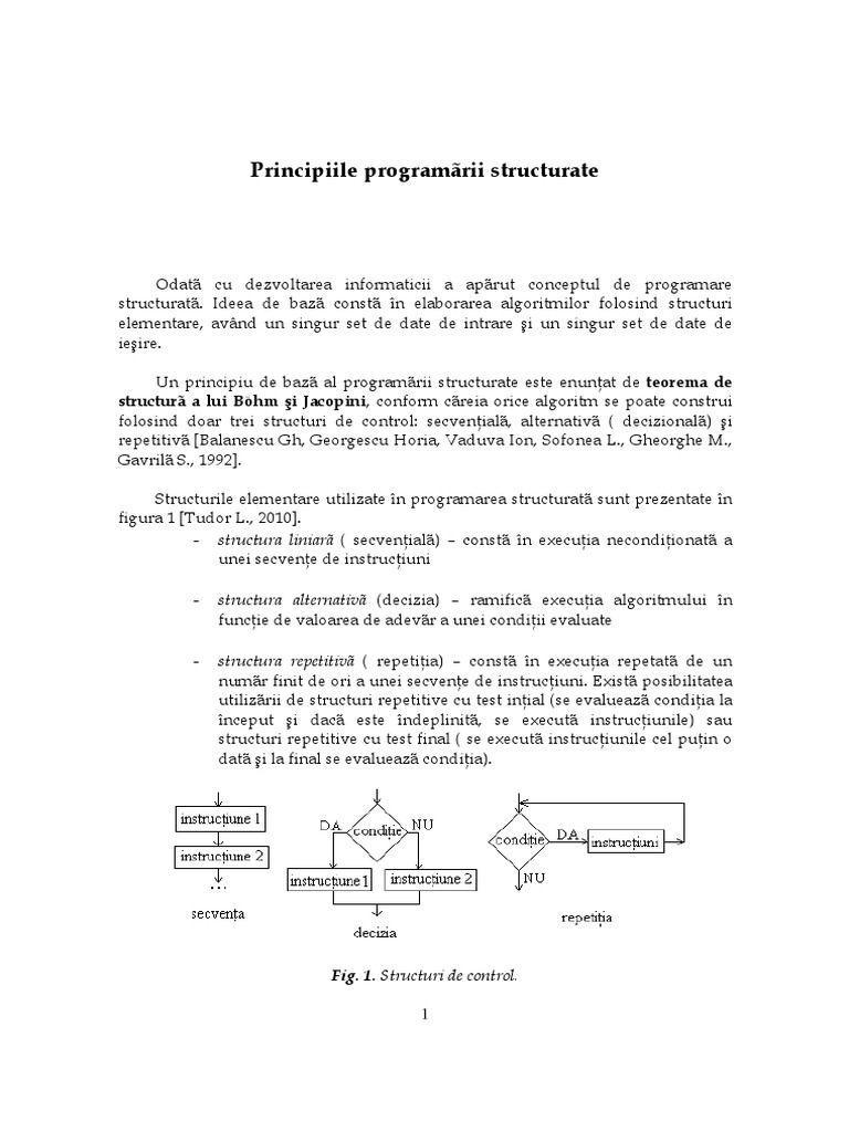 C Cap2b Principiile Programarii Structurate | PDF