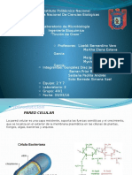 Guia de Problemas de Cadena Respiratoria y Fosforilacion Oxidativa