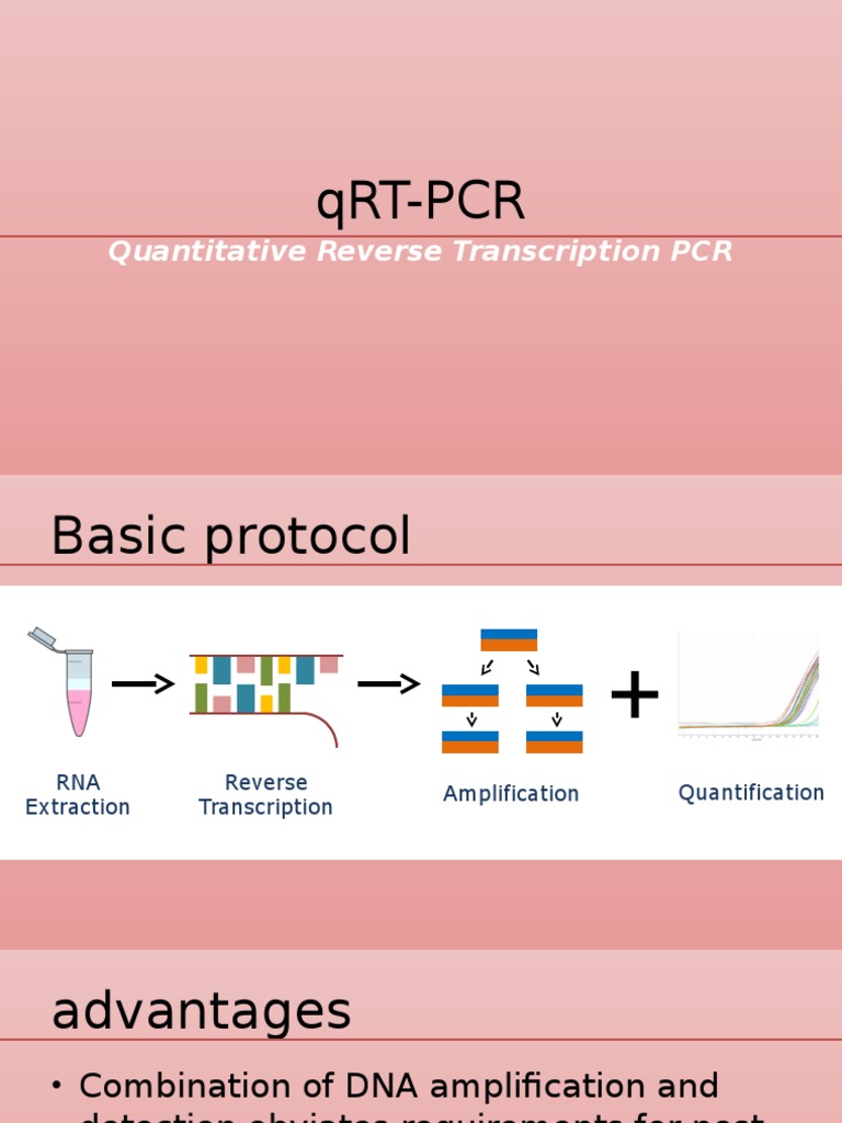 QRT-PCR: Quantitative Reverse Transcription PCR | PDF | Science ...