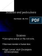 Microbiology - Scabies and Pediculosis