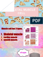 skeletal muscle presentation