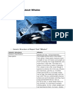 Report Text About Whales