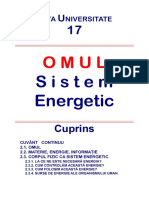 omul-sistem-energetic.pdf