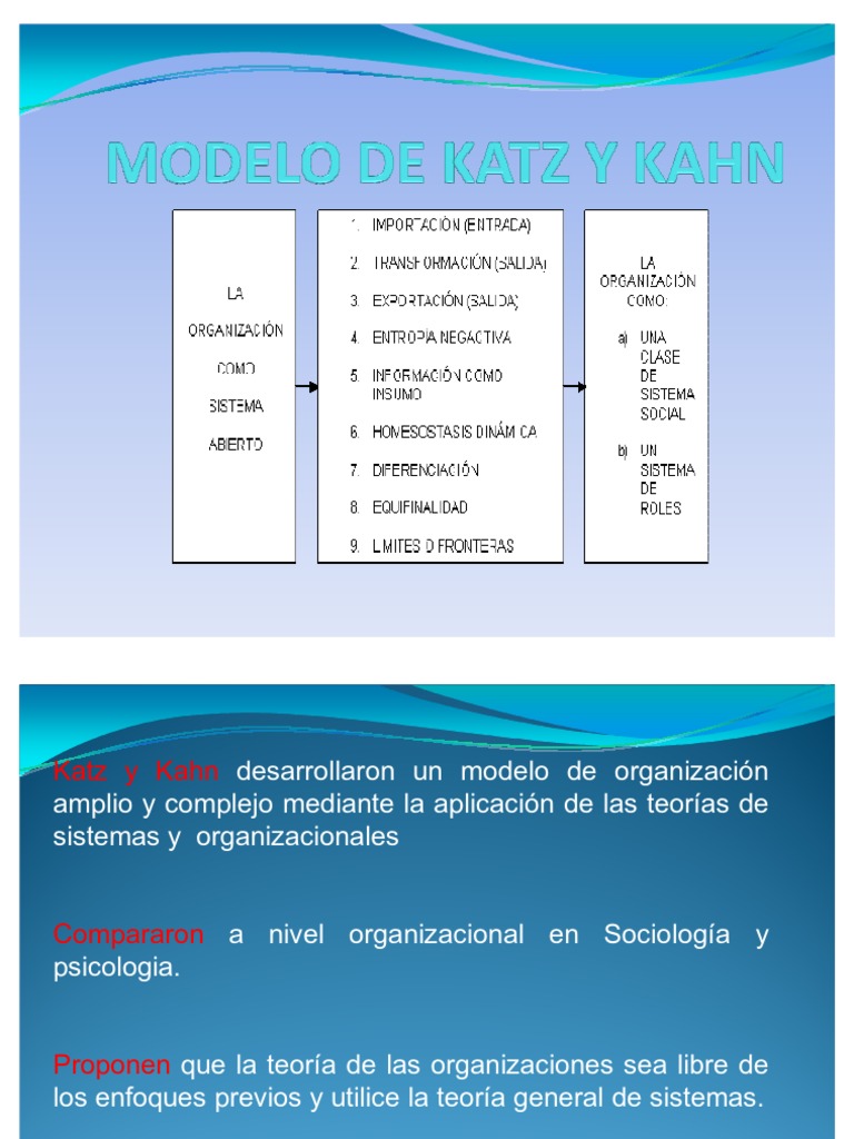 Modelo de Katz y Kahn | PDF