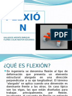 Flexion Exposicion