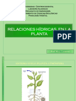 TEMA 2 Relaciones Hidricas RE 2016