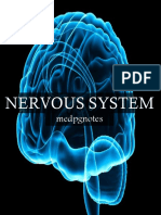 Nervous System Sample