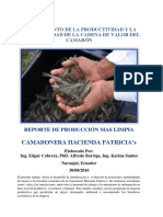 Reporte de Produccion Mas Limpia Cadena de Valor Camaron