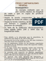 Fotosíntesis y Metabolismo Vegetal - Todo (Pigmentos Fotosinteticos)