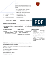 FORMATO SESION.docx