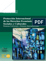 proteccion-internacional-desc-2008.pdf