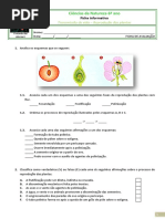 Ficha de Avaliaçãoplantas