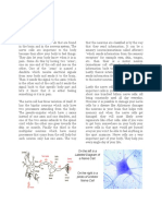 Omars Nerve Cell Article