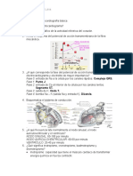 Cuestionario de Electrocardiografía Básica