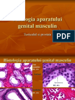 Curs 5 Patologia aparatului genital masculin.ppt