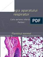 Curs 2 Patologia Aparatului Respirator II