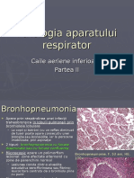 Curs 2 Patologia Aparatului Respirator III
