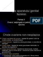 Curs 6 Patologia Aparatului Genital Feminin II