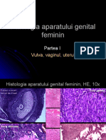 Curs 6 Patologia Aparatului Genital Feminin I